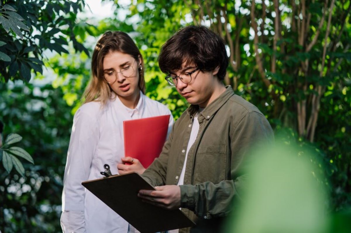 Why You Need a Professional Arborist in Sydney for Tree Care