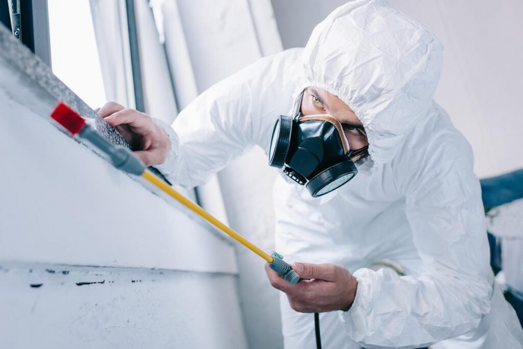 How to Find the Best Exterminator in Sydney for Your Needs