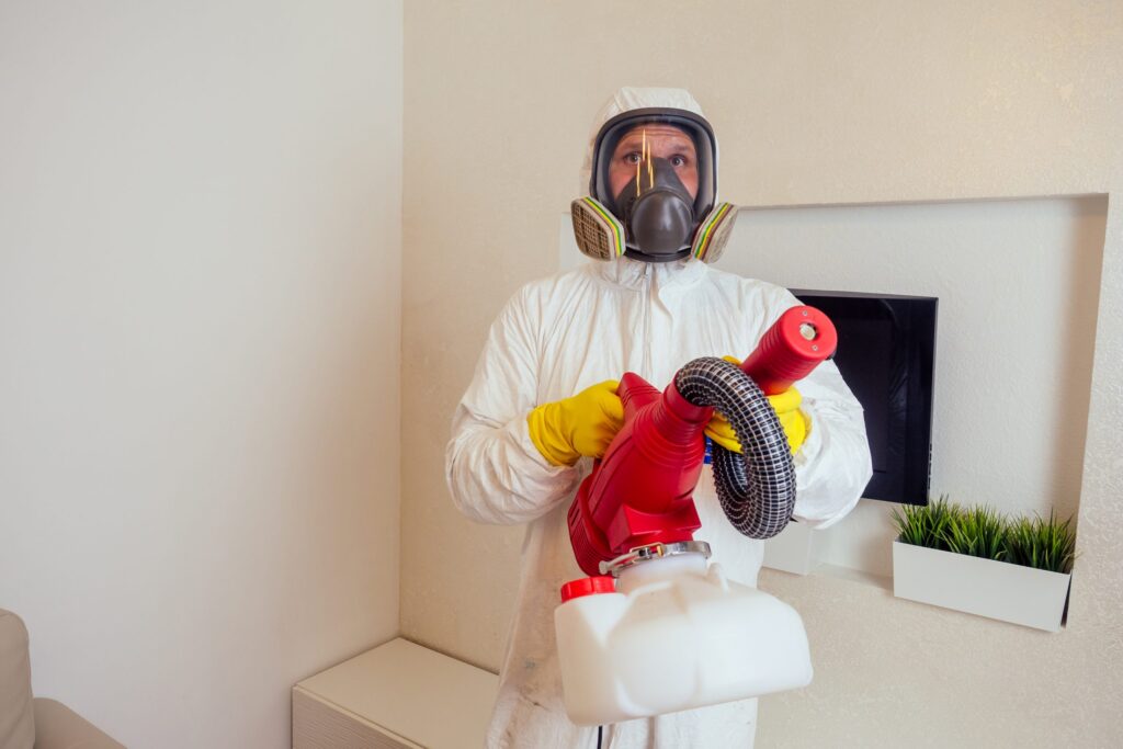 Why Regular Pest Inspections in Sydney Are a Must