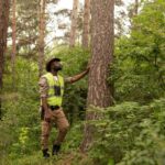Arborist North Sydney