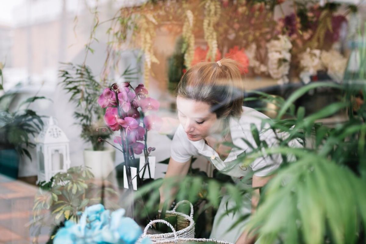 Popular Longueville Flowers to Send This Year